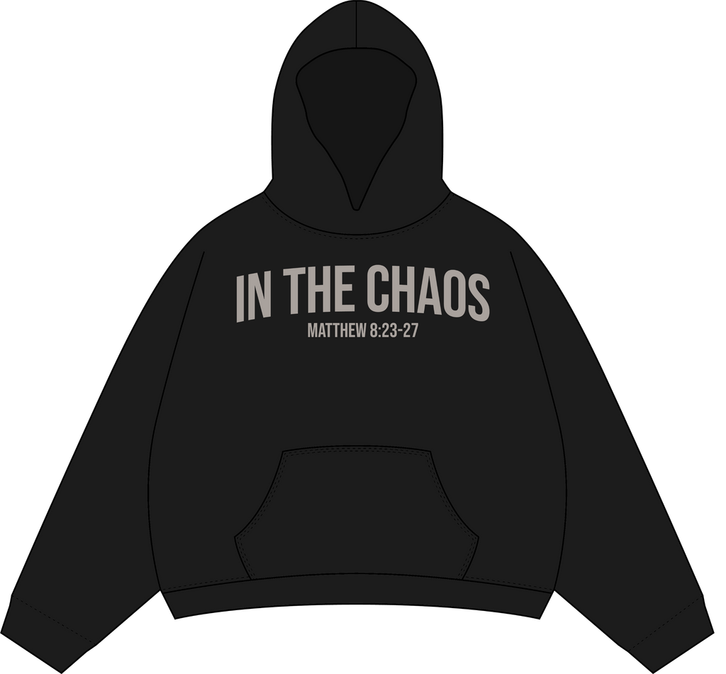 IN THE CHAOS PUFF PRINT HOODIE