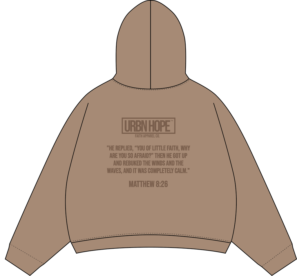 IN THE CHAOS PUFF PRINT HOODIE